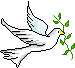 Peace Brother!